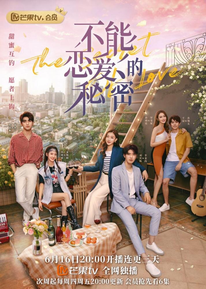 The Secret of Not Falling in Love poster