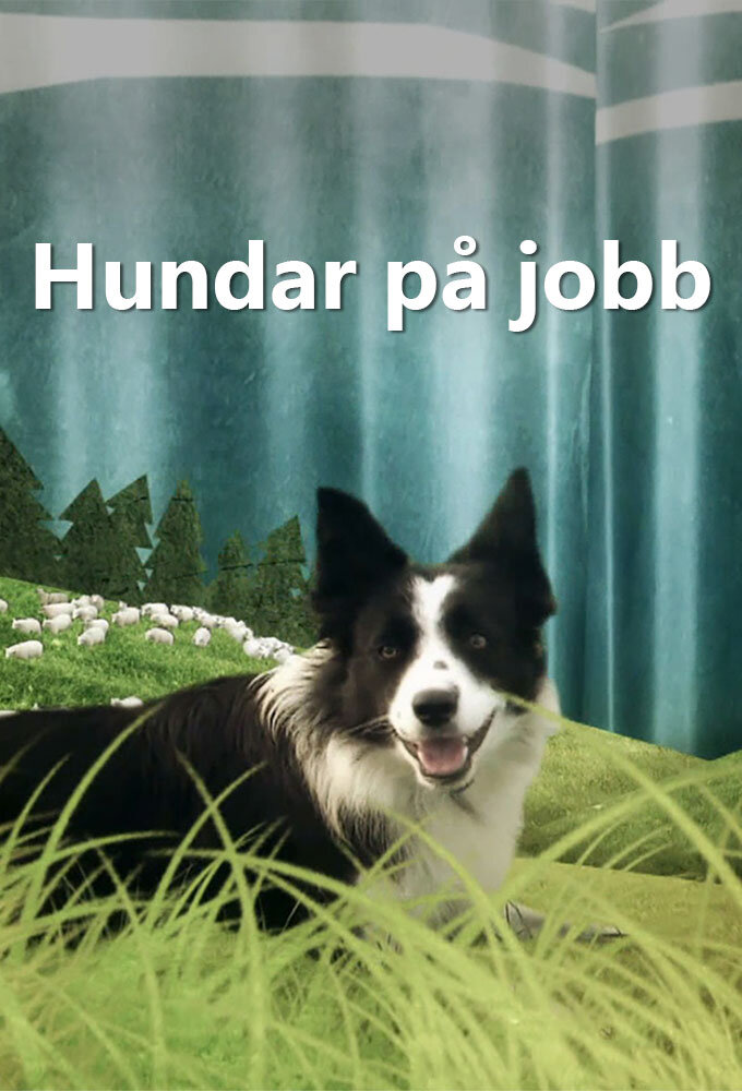 Hundar på jobb poster