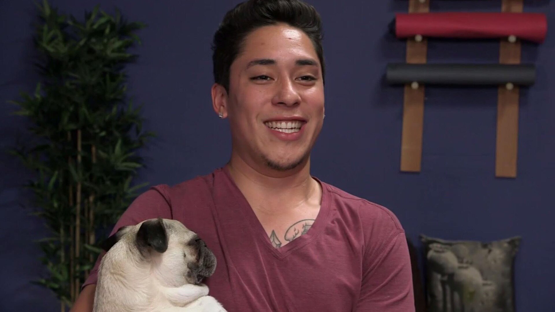 Dog Tricks & Tips