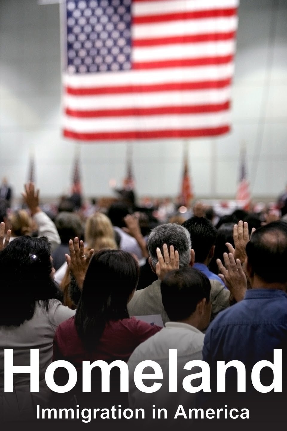 Homeland: Immigration in America poster