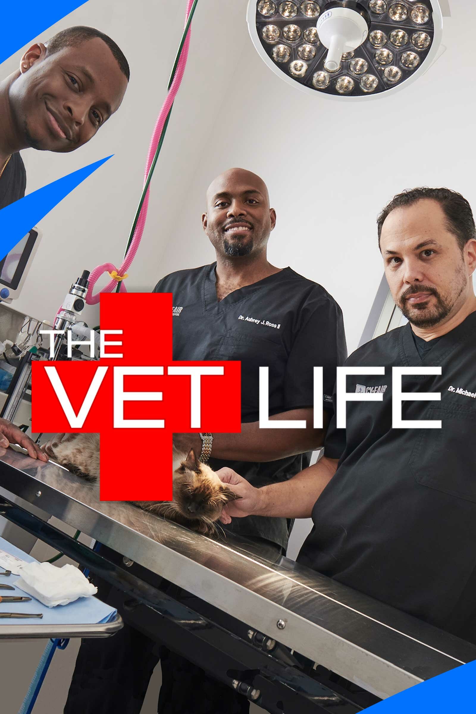 Watch The Vet Life online free