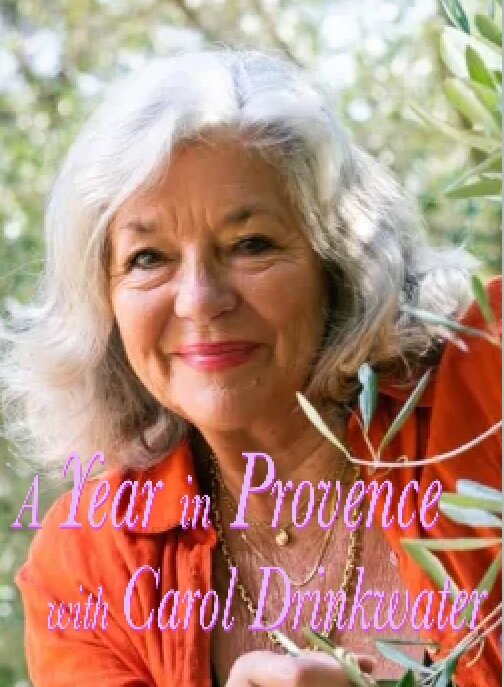 A Year In Provence with Carol Drinkwater poster
