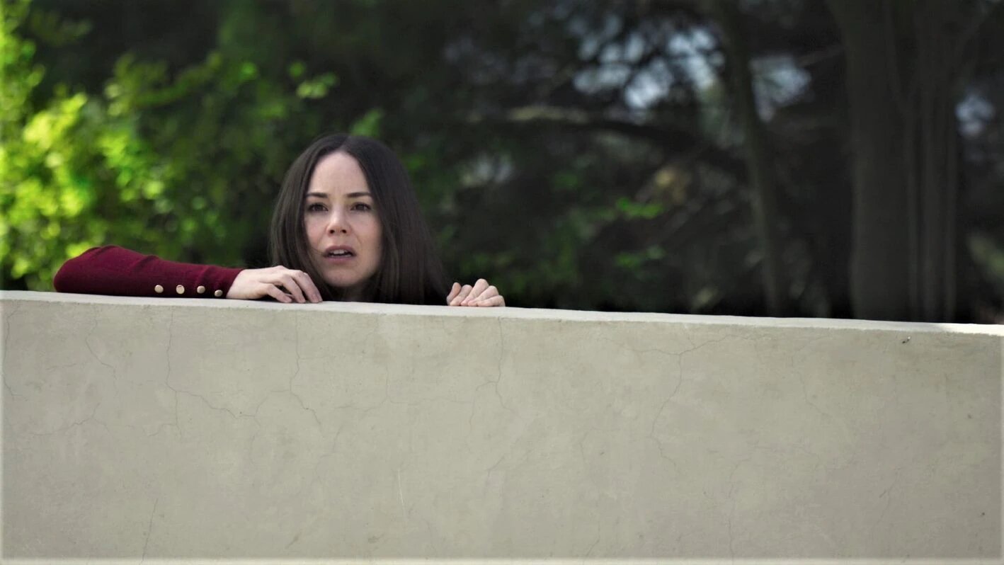 Falsa Identidad S2 E13 – La sangre llama