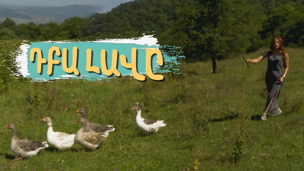 8-րդ սերիա