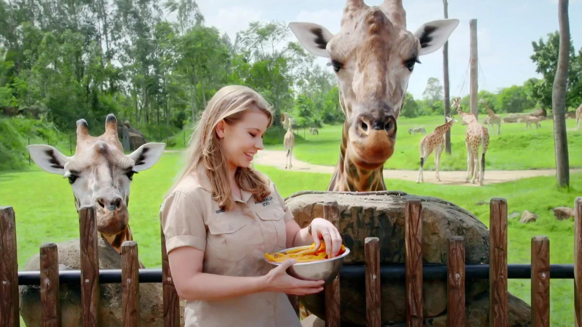 Wild Times S1 E05 – Giraffes and Gila Monsters