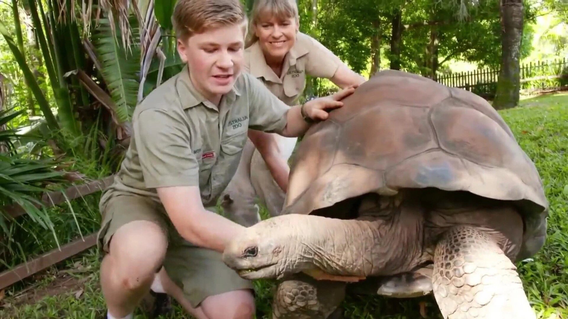 Wild Times S1 E07 – Meet the Tortoise