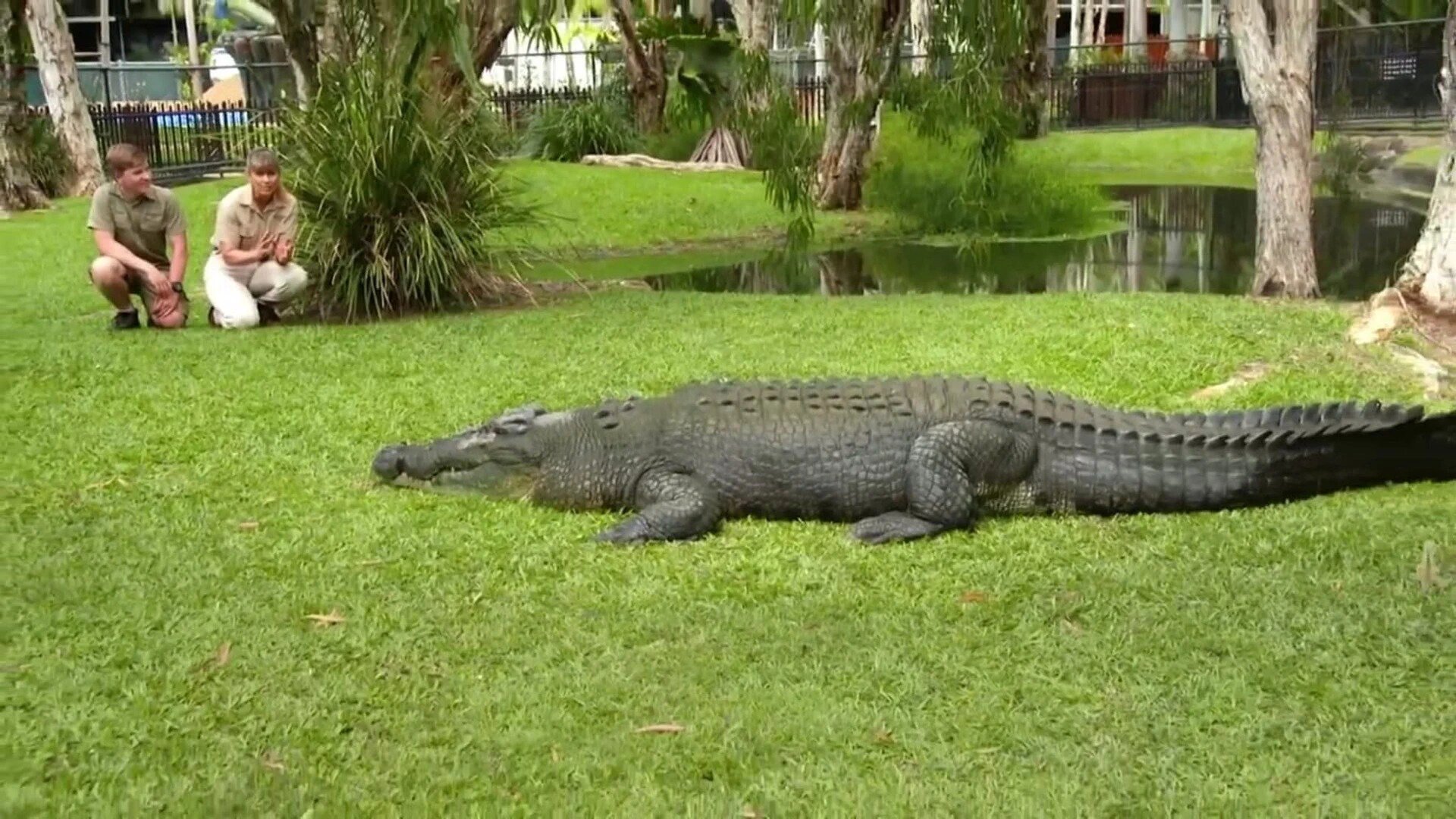 Wild Times S1 E08 – Our Old Friend the Crocodile