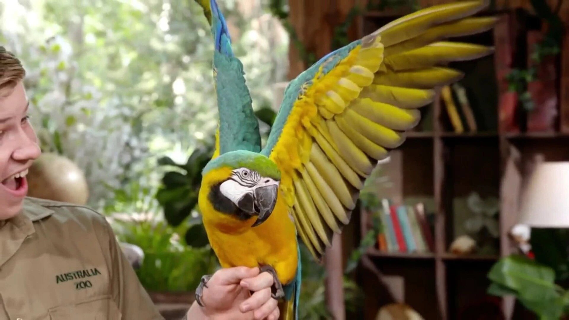 Wild Times S1 E09 – Meet the Macaw