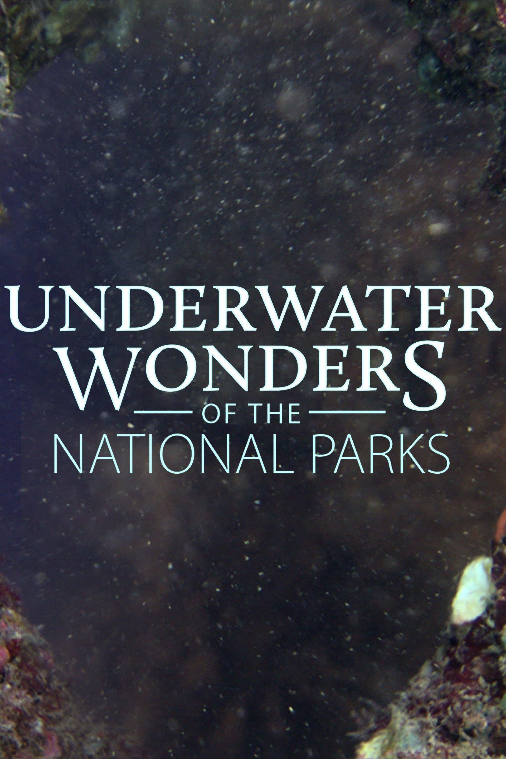 Underwater Wonders of the National Parks poster