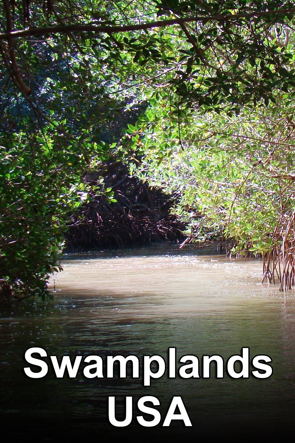 Swamplands USA poster