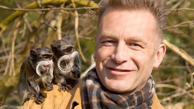 World's Sneakiest Animals S1 E03 – Sex, Lies and Dirty Tricks