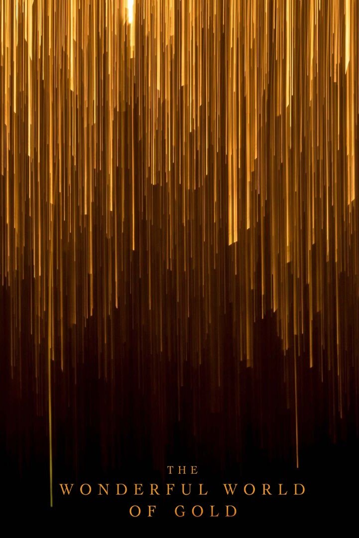 The Wonderful World of Gold poster