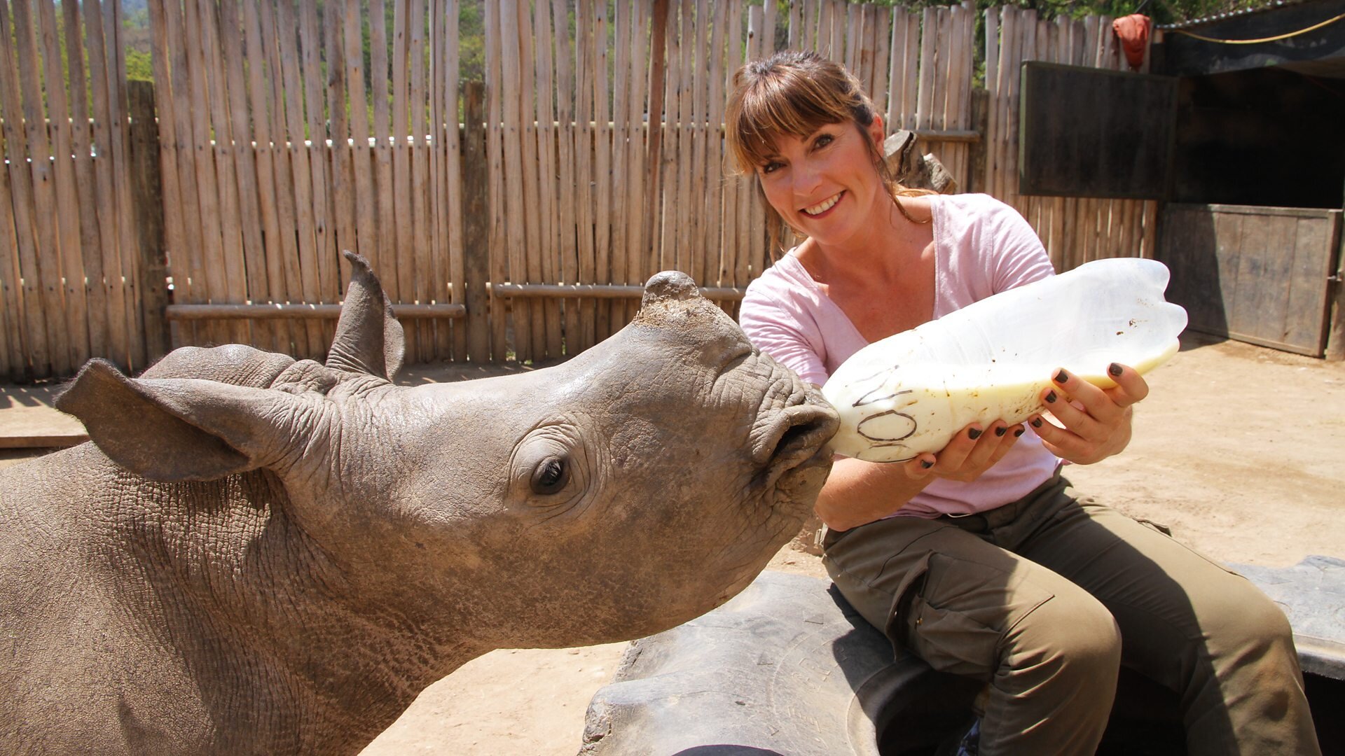 Nature's Miracle Orphans S2 E04 – Manji and Mandi