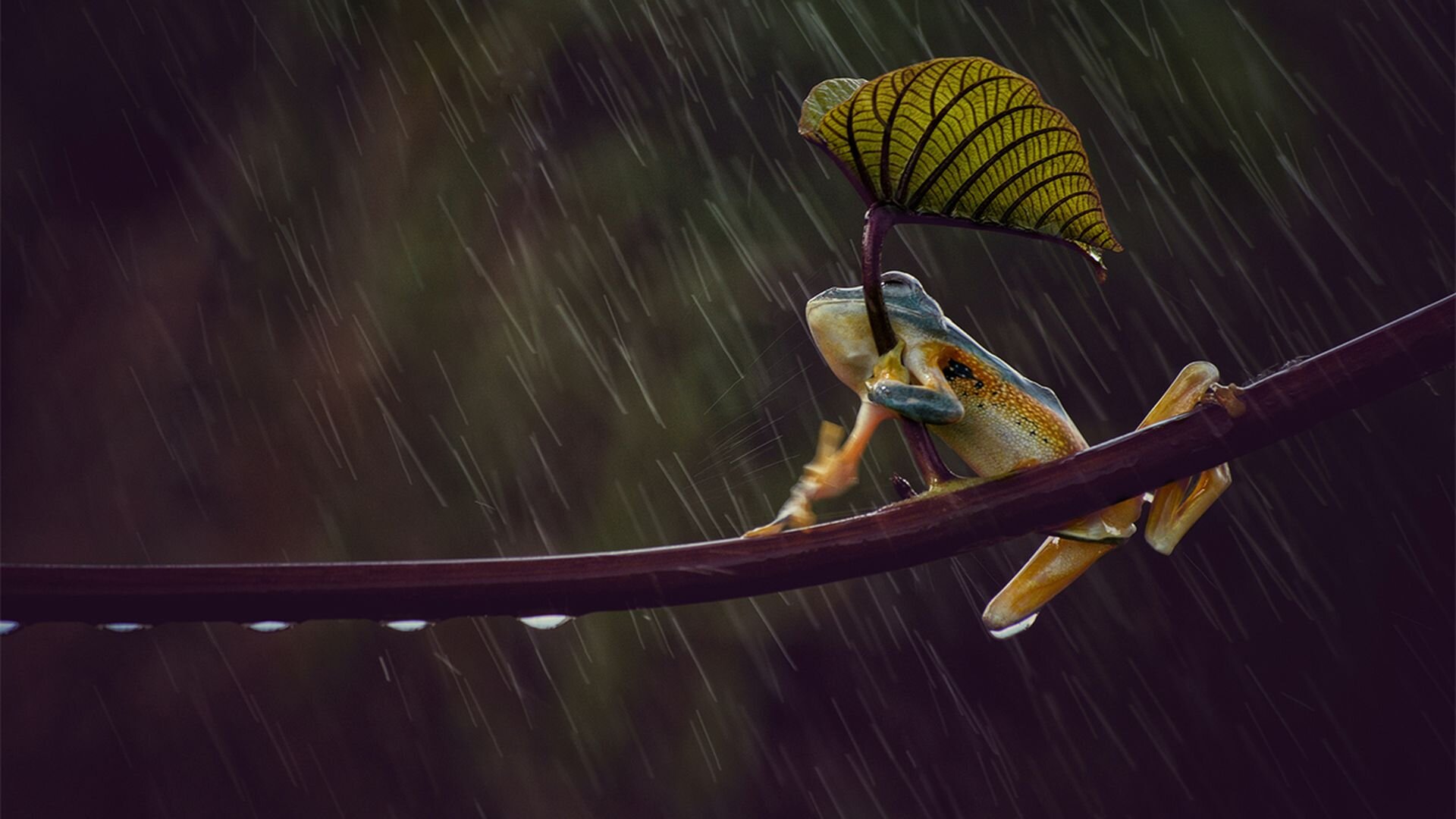 Australia Remastered S6 E01 – Cyclone