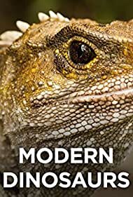 Modern Dinosaurs – official series poster, Sky Open