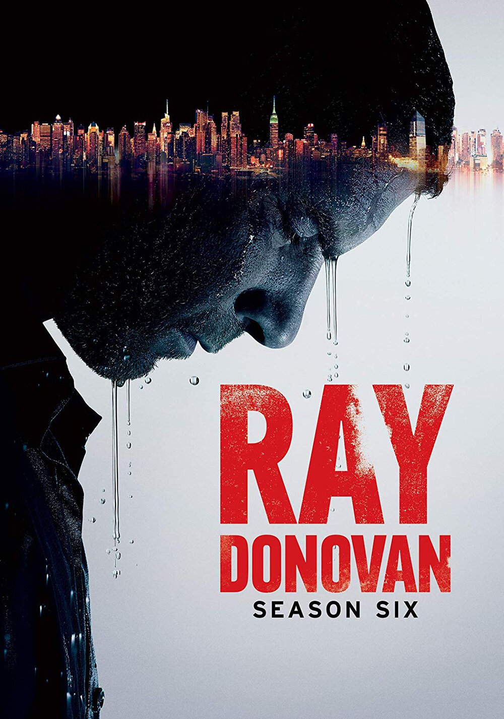 Ray Donovan Season 6 poster