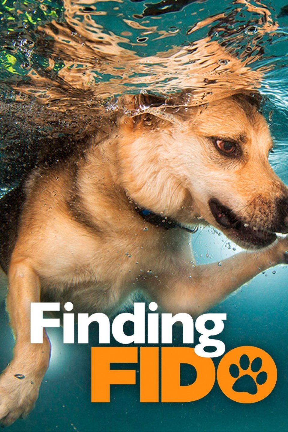 Finding Fido poster