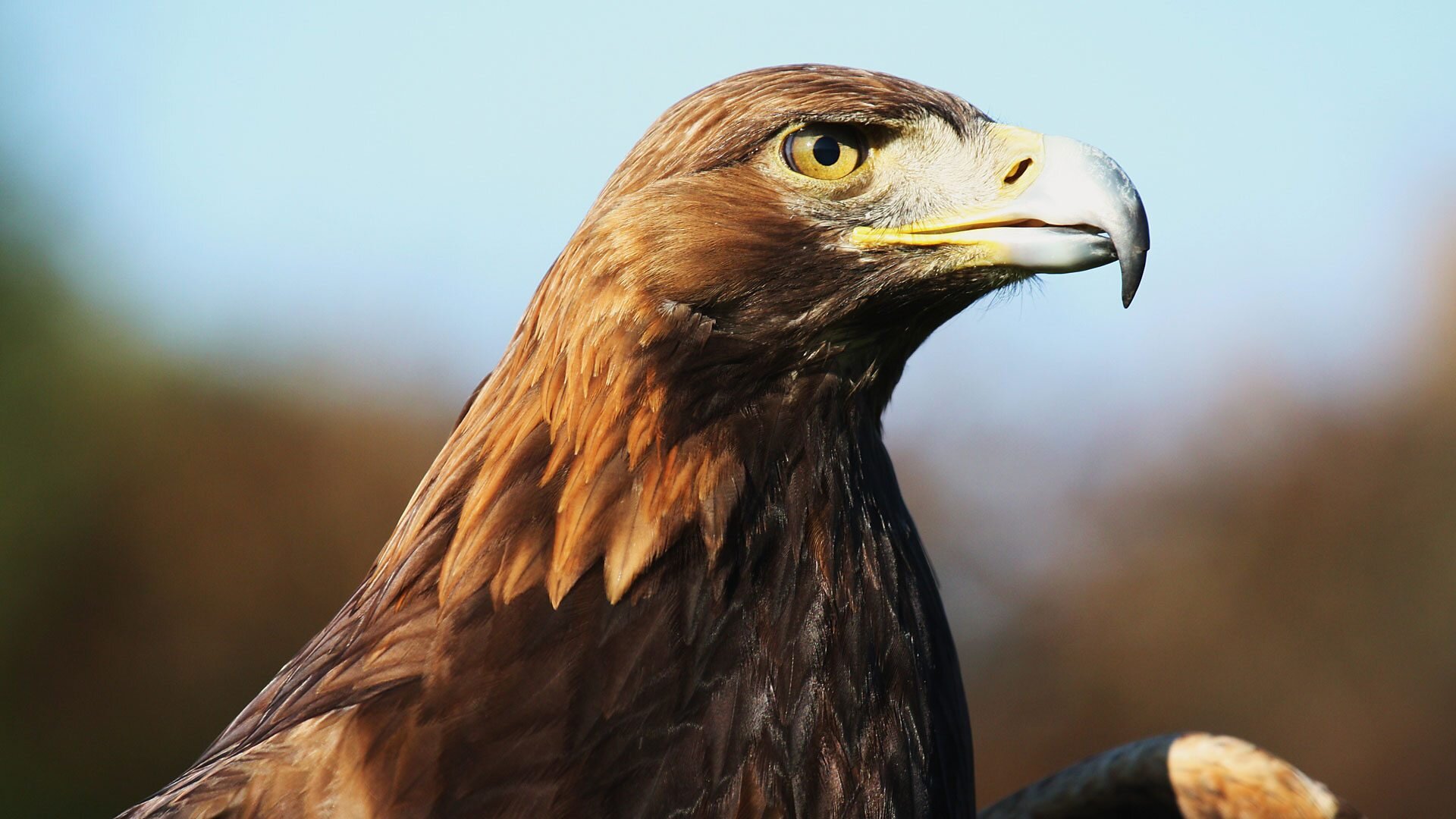 Winterwatch Unsprung S2015 E03 – Episode 3