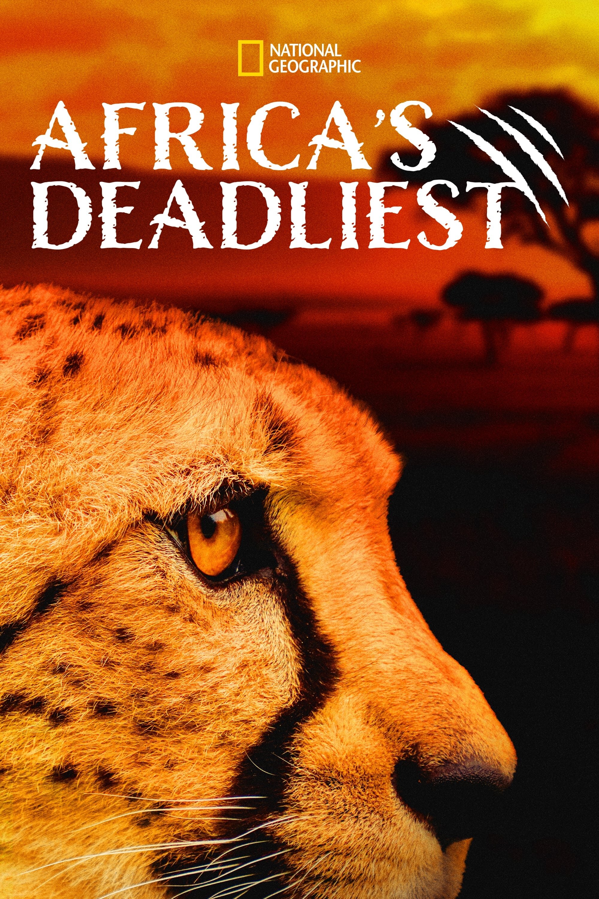 Africa's Deadliest Season 7 poster