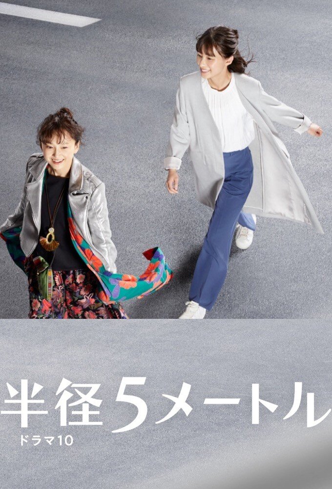 Hankei 5 Metoru