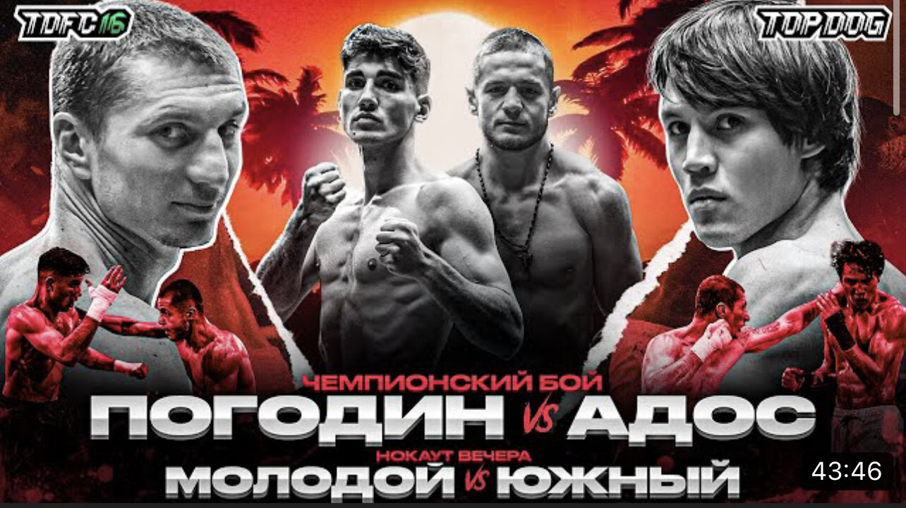 Top Dog Fighting Championship S16 E02 – Погодин vs Адос | Молодой vs Южный