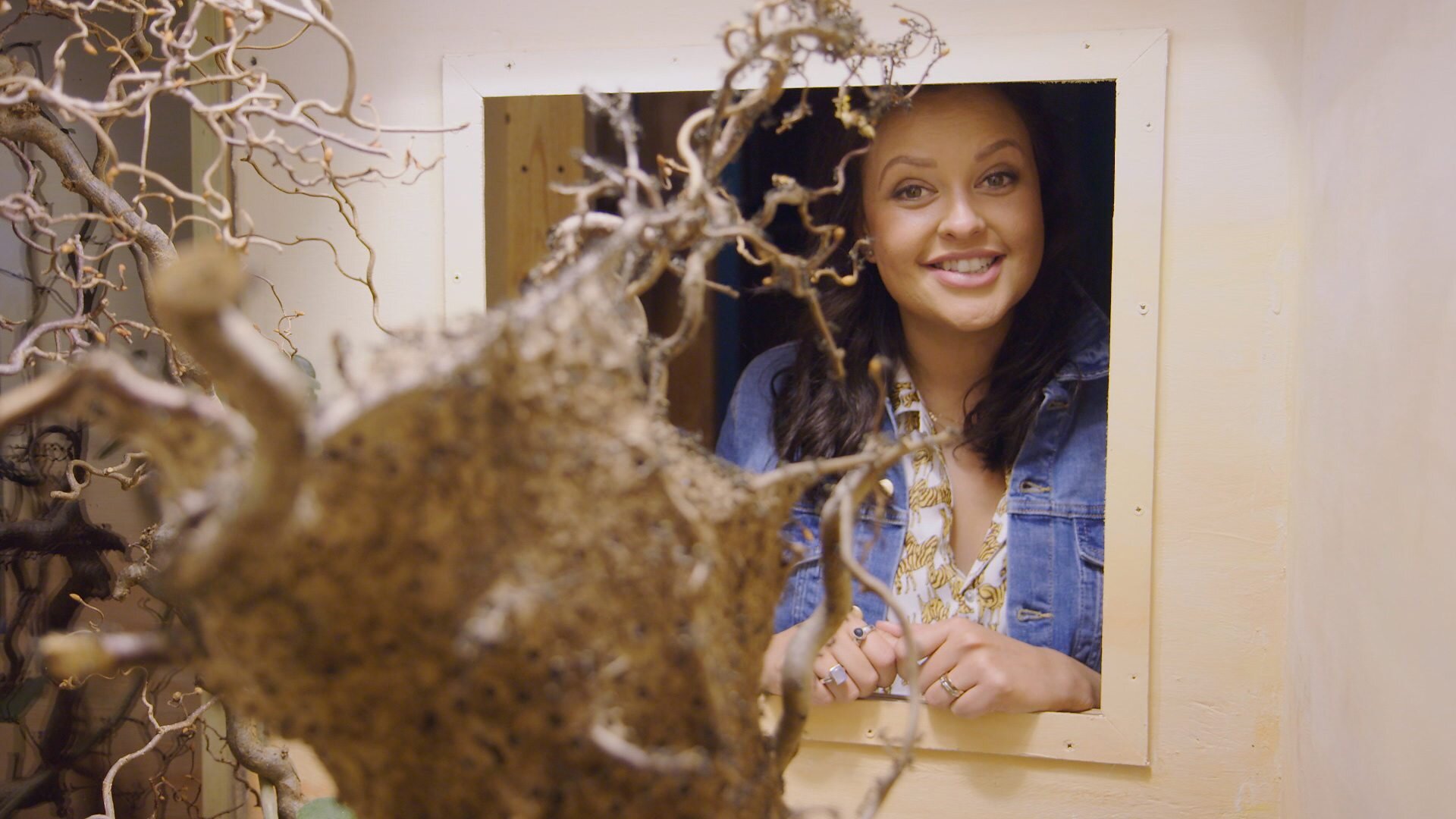 Ants
