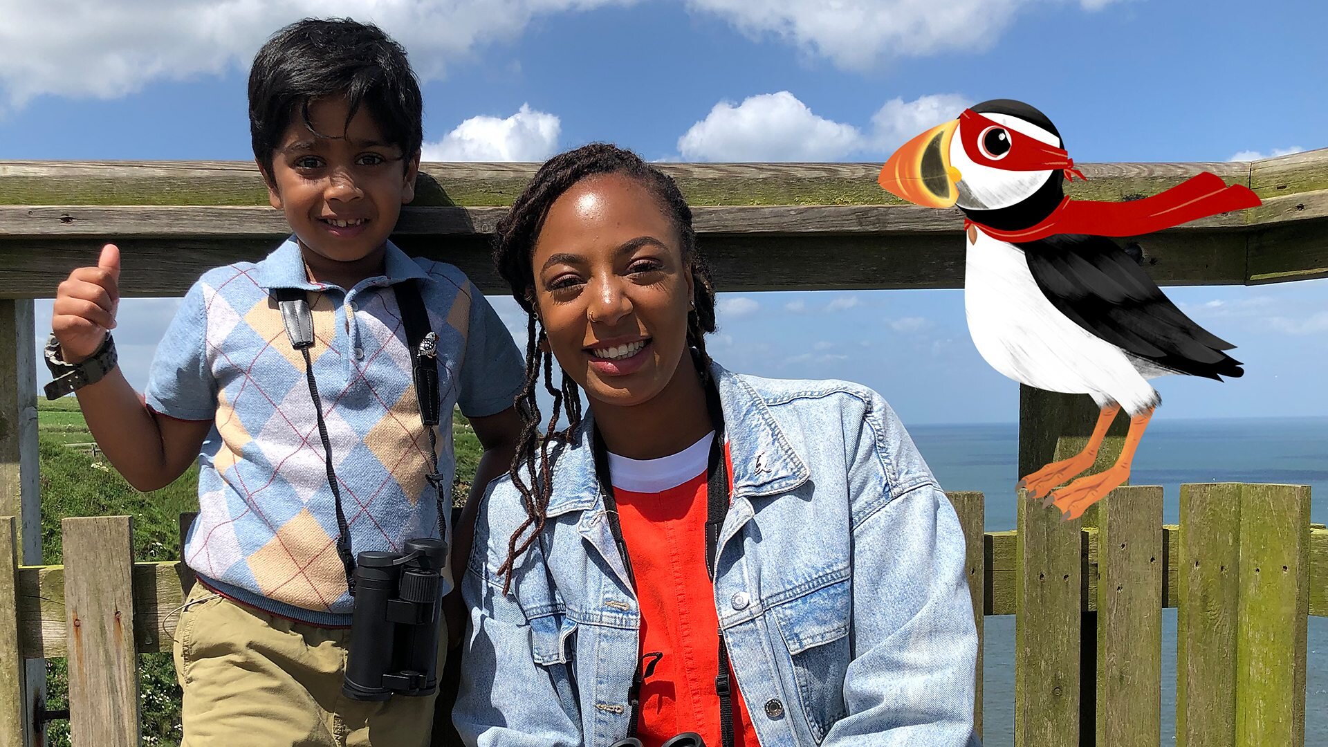 Puffins