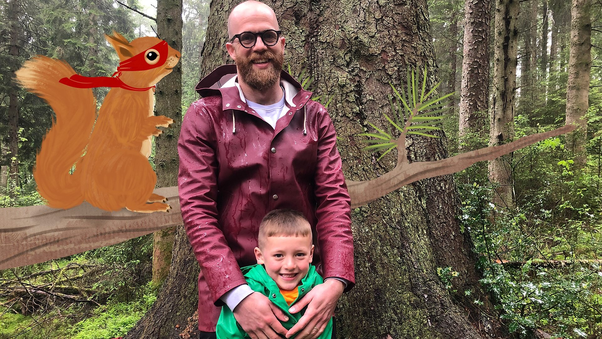 Red Squirrels