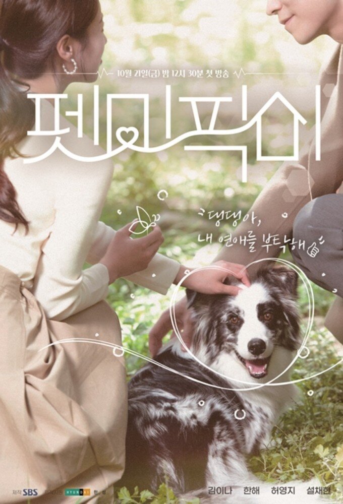 Pet Me Pick Me poster