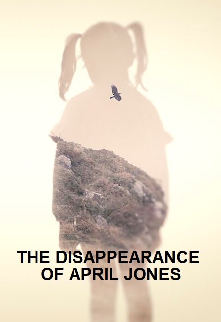 The Disappearance of April Jones poster