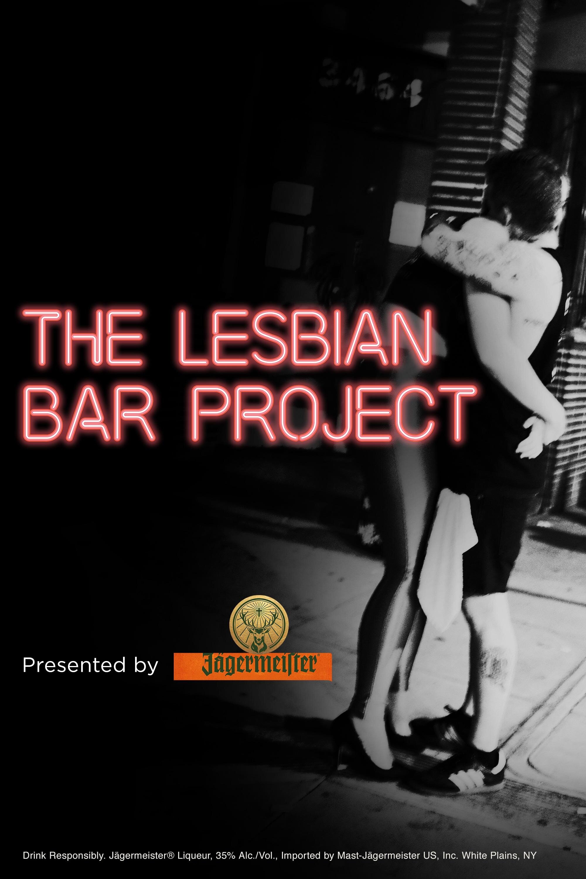 The Lesbian Bar Project poster