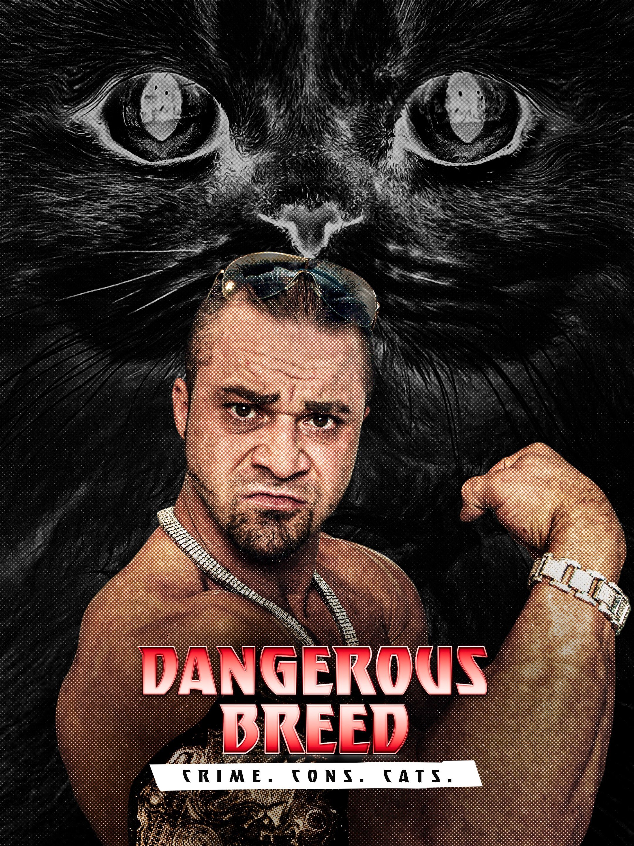 Dangerous Breed: Crime. Cons. Cats. poster