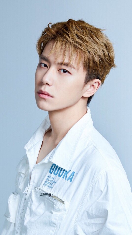 Pan Lu Yu
