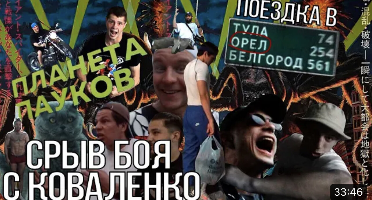 Top Dog Fighting Championship S19 Special – «РЕГБИСТ»'22 (часть 1)