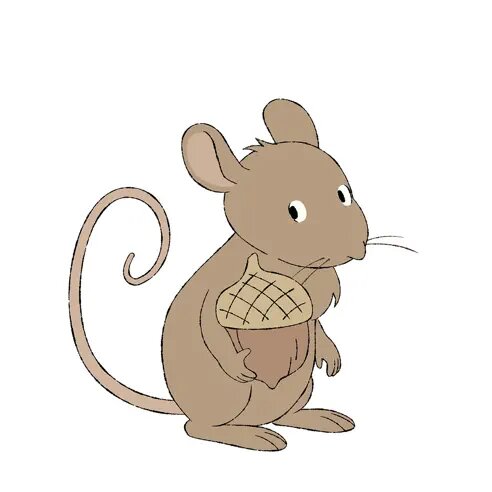 Mouse