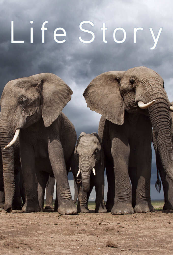 Life Story Season 1 poster
