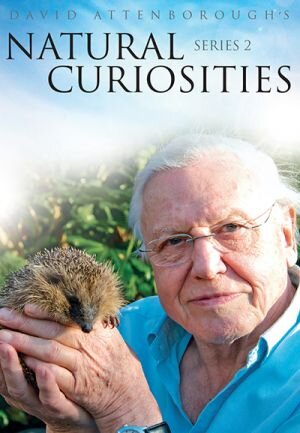 David Attenborough's Natural Curiosities Season 2 poster