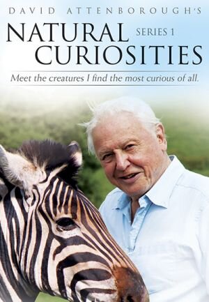 David Attenborough's Natural Curiosities Season 1 poster