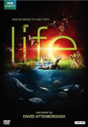 Life Season 1 poster