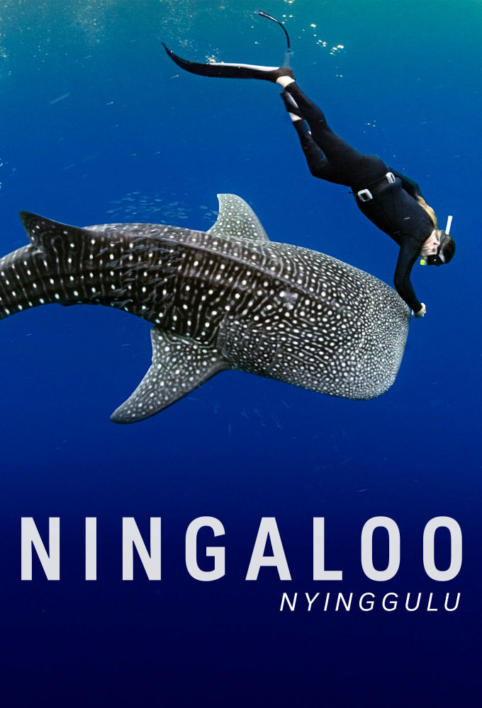 Ningaloo Nyinggulu poster