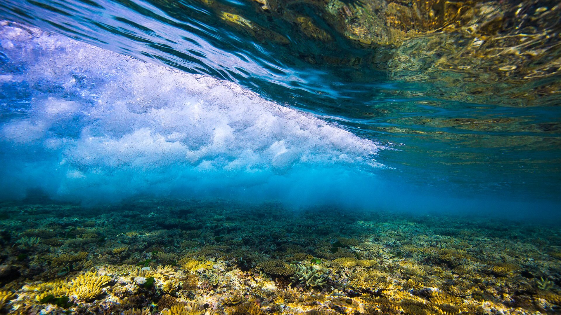 Great Barrier Reef with David Attenborough S1 E01 – Episode 1