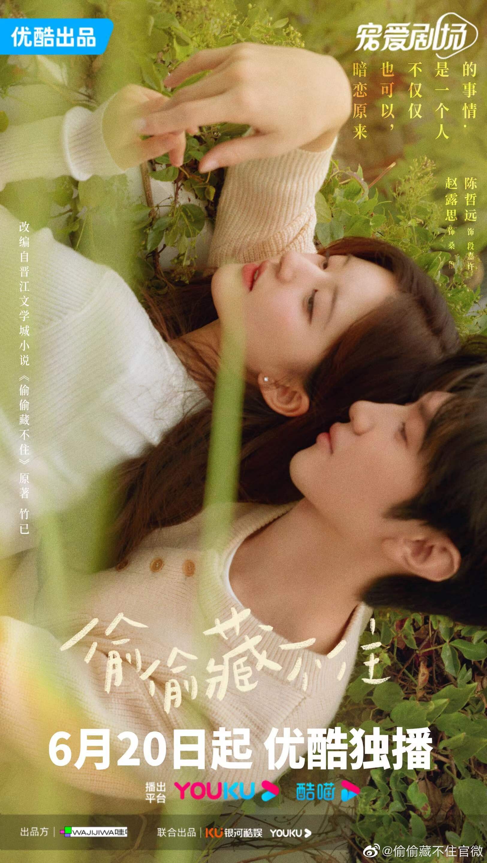 Hidden Love Season 1 poster
