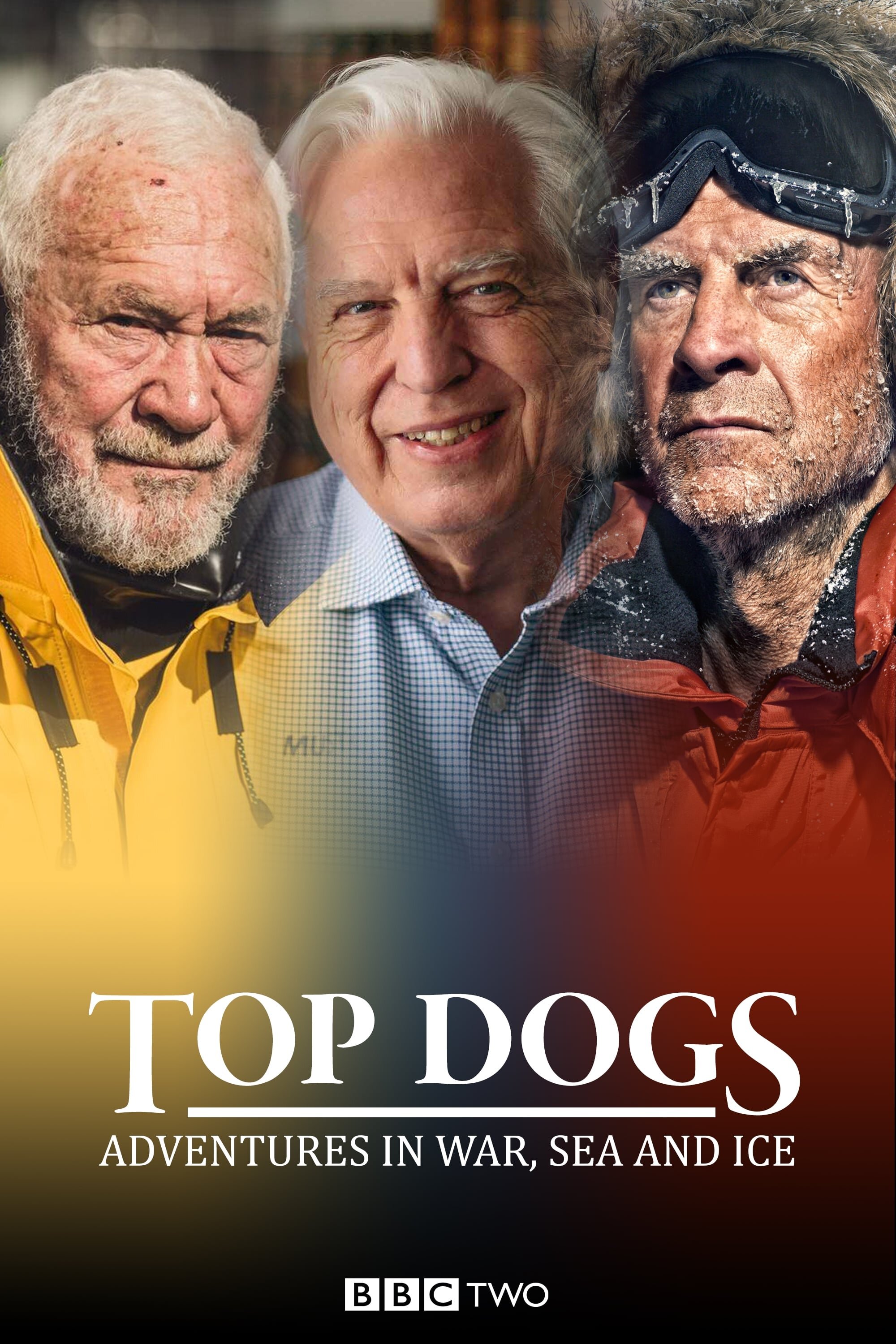 Top Dogs: Adventures in War, Sea and Ice poster