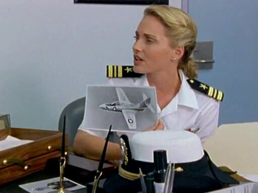 Flipper S3 E17 – Stars & Stripes