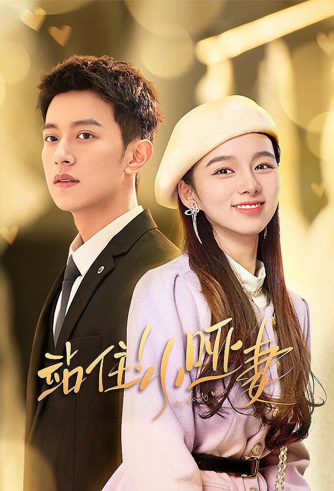 My Lovely Wife poster