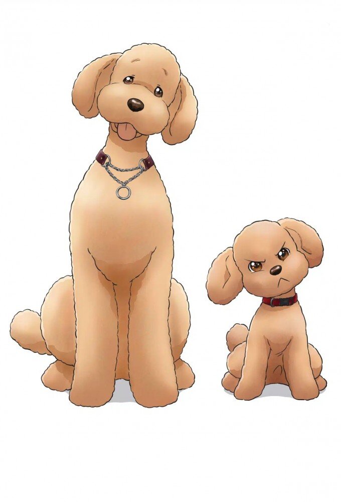 Dog Signal poster