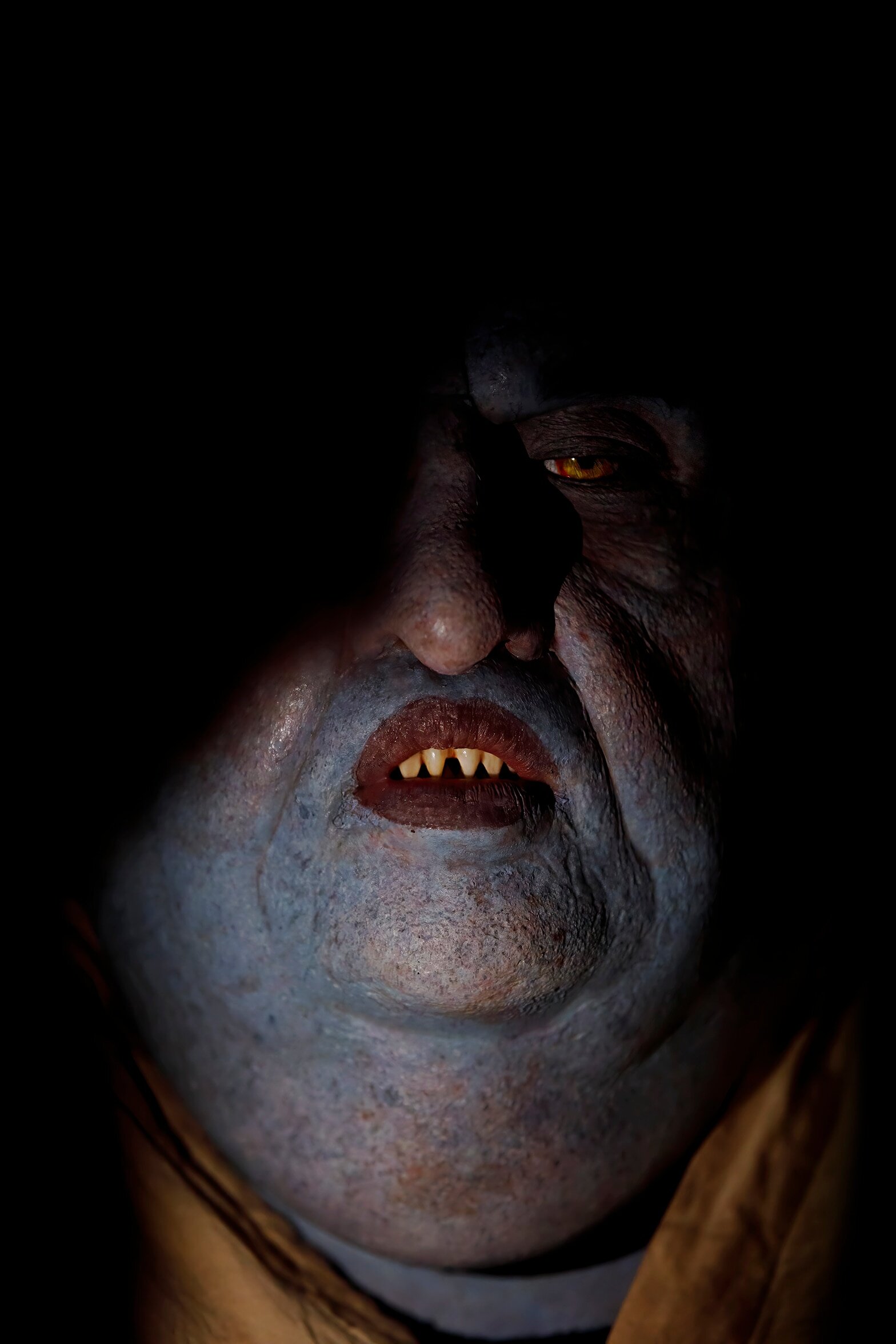 Night Bloomers – official series poster, SBS On Demand