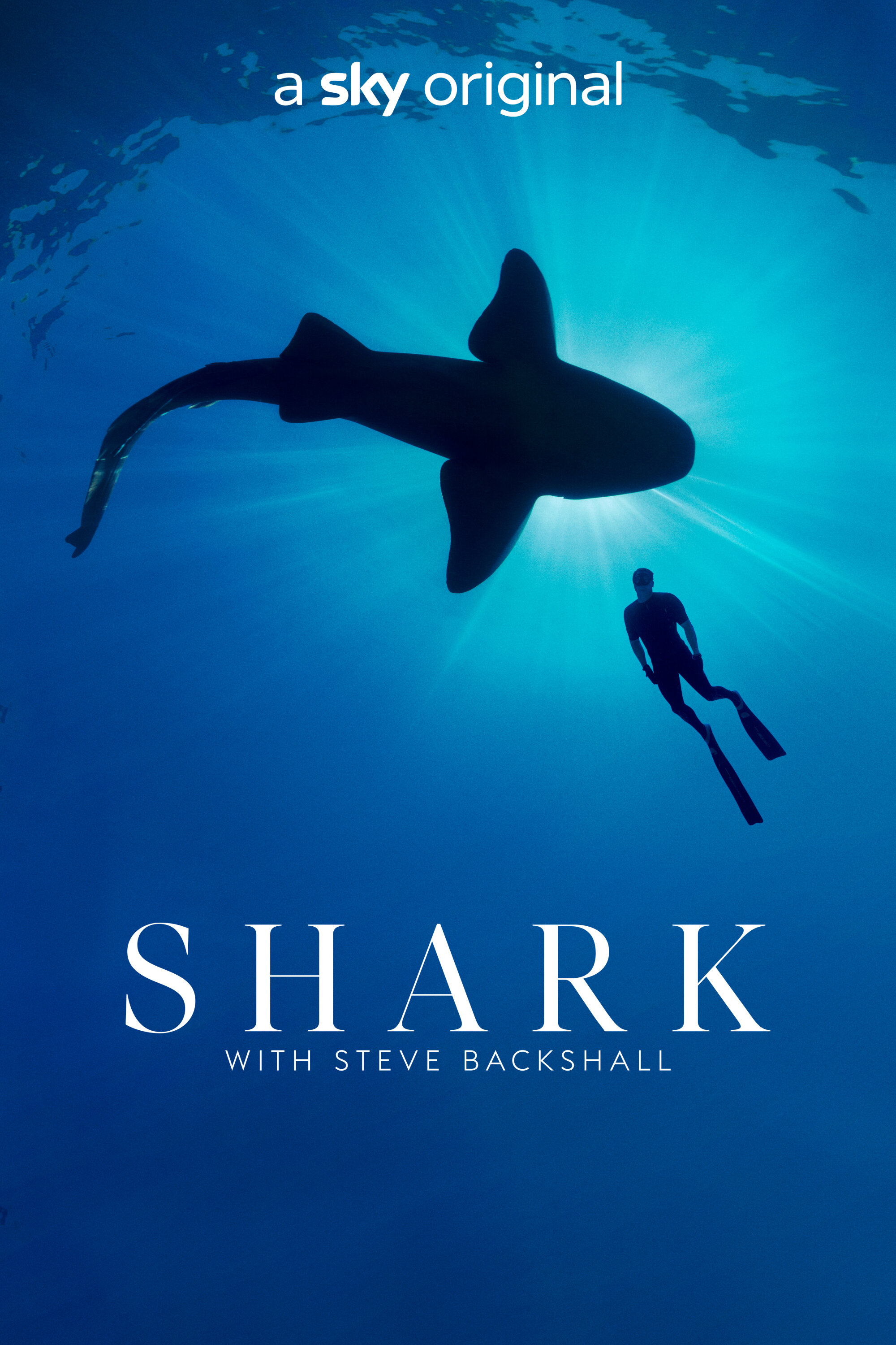Shark with Steve Backshall