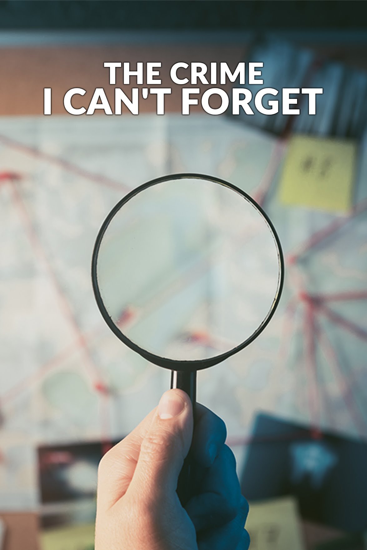 The Crime I Can't Forget poster