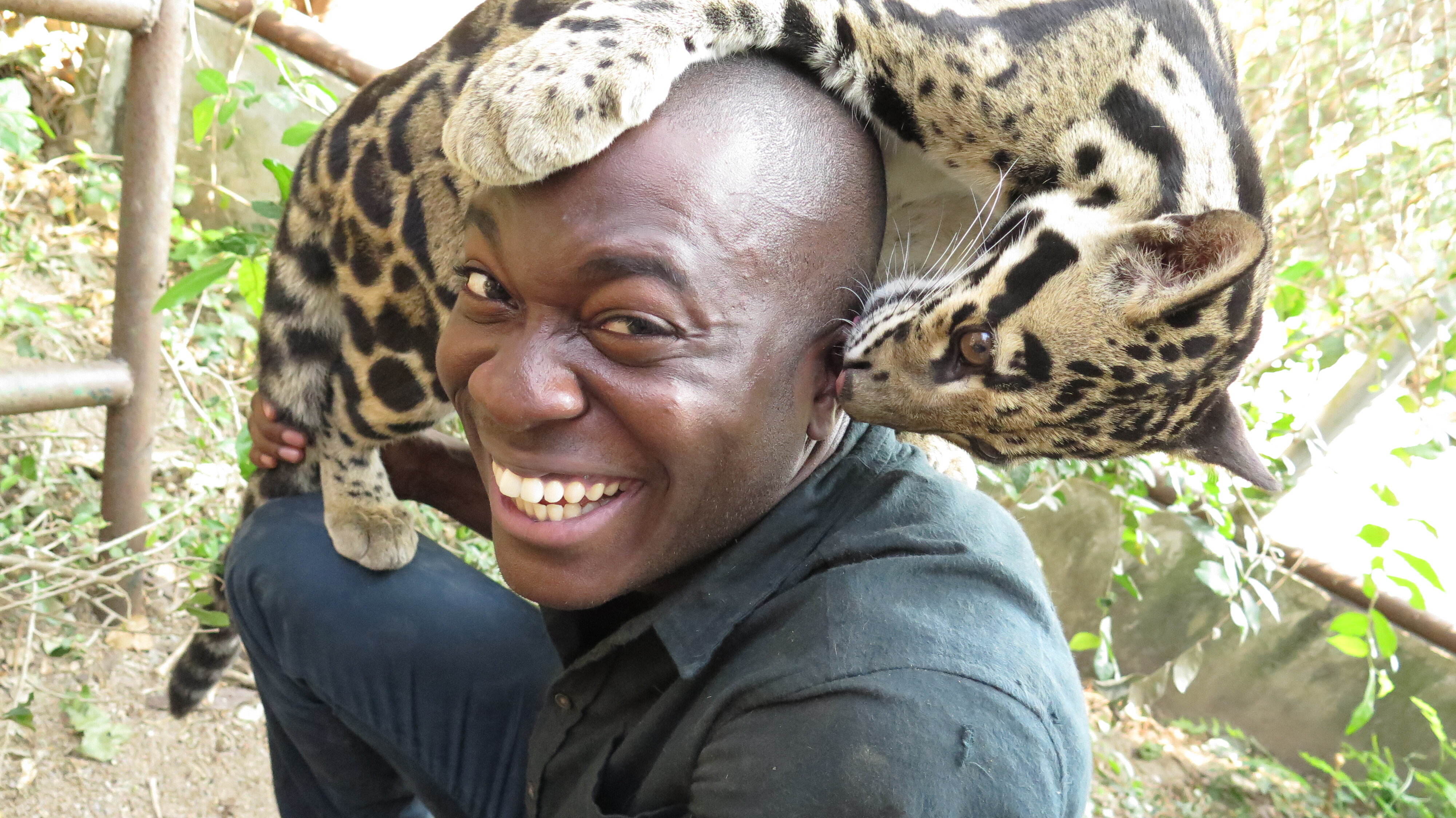 Big Cats: An Amazing Animal Family S1 E01 – Episode 1